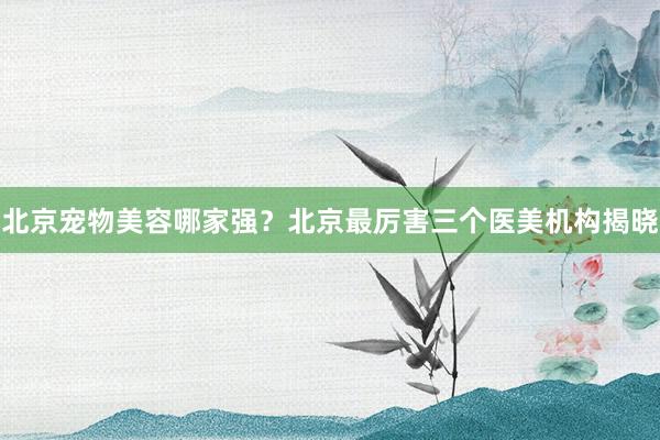 北京宠物美容哪家强？北京最厉害三个医美机构揭晓
