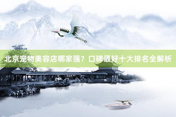 北京宠物美容店哪家强？口碑最好十大排名全解析